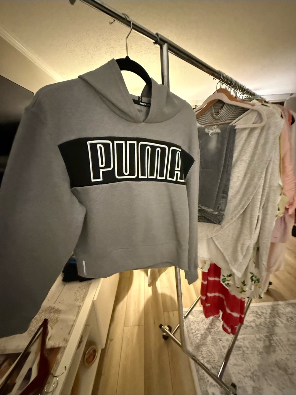 Puma Gray Cropped Logo Hoodie